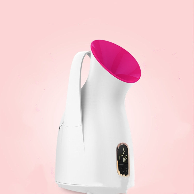 Household Nano Spray Face Steamer - MeNelly’s Boutique 