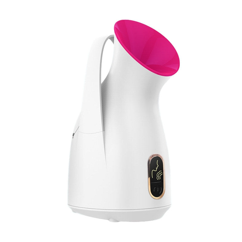 Household Nano Spray Face Steamer - MeNelly’s Boutique 