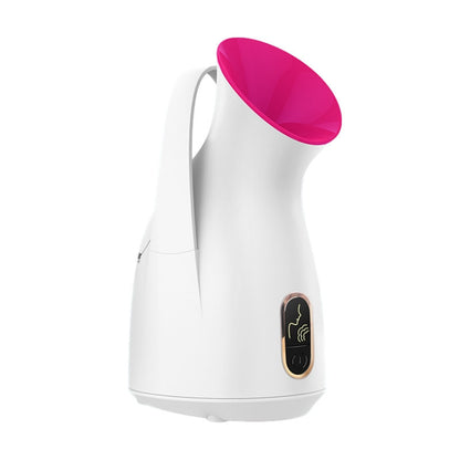 Household Nano Spray Face Steamer - MeNelly’s Boutique 